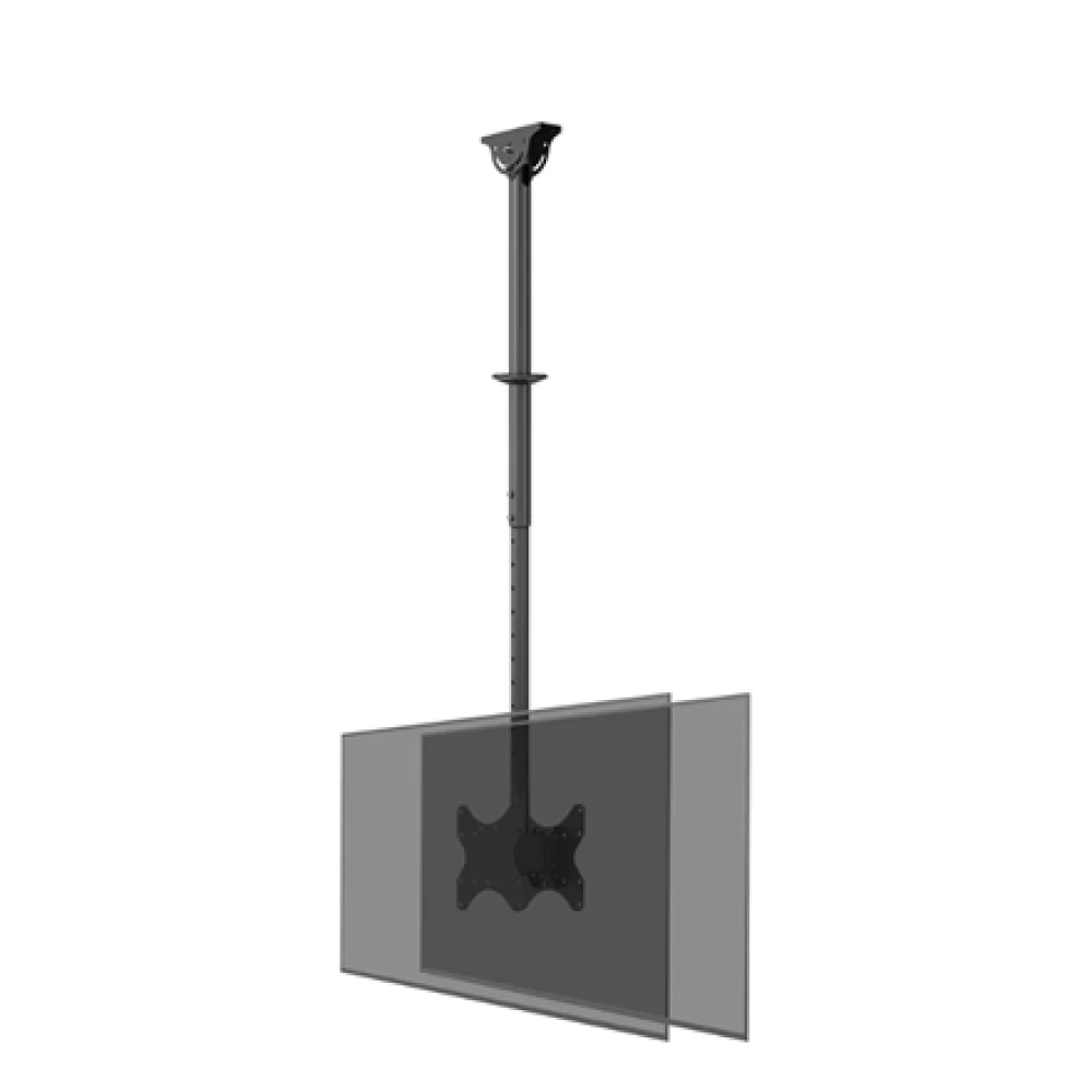 Neomounts CL35-340BL22 Dual Monitor/TV Mount Ceiling , Adjustable Height, Rotate, Tilt, Swivel , 23-42 , Maximum weight (capacity) 45 kg , Black