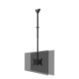 Neomounts CL35-340BL22 Dual Monitor/TV Mount Ceiling , Adjustable Height, Rotate, Tilt, Swivel , 23-42 , Maximum weight (capacity) 45 kg , Black