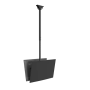 Neomounts CL35-340BL22 Dual Monitor/TV Mount Ceiling , Adjustable Height, Rotate, Tilt, Swivel , 23-42 , Maximum weight (capacity) 45 kg , Black