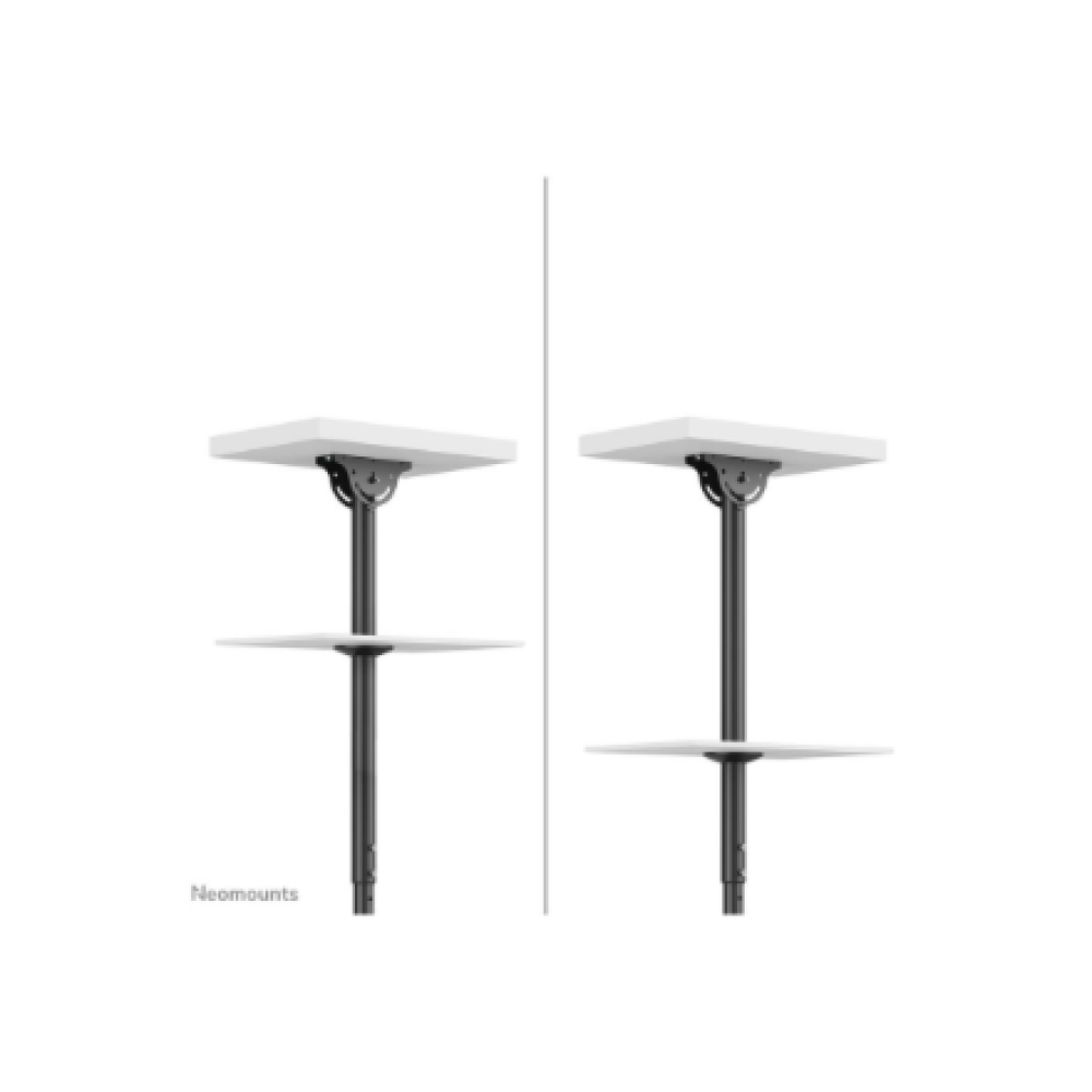 Neomounts CL35-340BL22 Dual Monitor/TV Mount Ceiling , Adjustable Height, Rotate, Tilt, Swivel , 23-42 , Maximum weight (capacity) 45 kg , Black