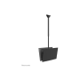 Neomounts CL35-340BL22 Dual Monitor/TV Mount Ceiling , Adjustable Height, Rotate, Tilt, Swivel , 23-42 , Maximum weight (capacity) 45 kg , Black