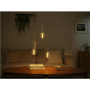 Philips Hue WCA Lightguide G95 , E27 , 6.8 W , White and colour light