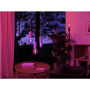 Philips Hue WCA Lightguide G95 , E27 , 6.8 W , White and colour light