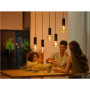 Philips Hue WCA Lightguide G95 , E27 , 6.8 W , White and colour light