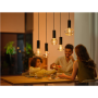 Philips Hue WCA Lightguide G95 , E27 , 6.8 W , White and colour light