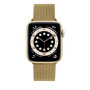 Fixed , Mesh Strap for Apple Watch 38/40/41mm , Gold
