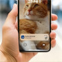 Philips Smart Feeder with Camera , PAW5320/02 5000 Series