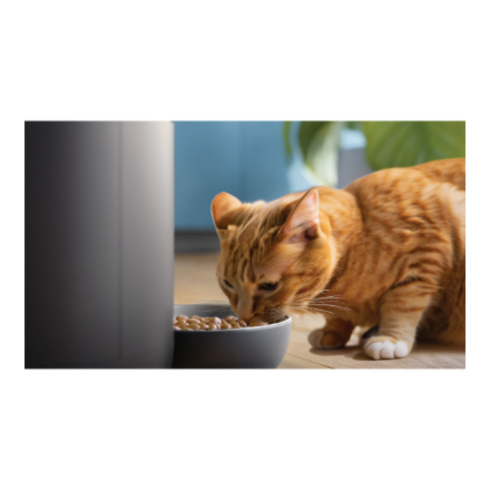 Philips Smart Feeder with Camera , PAW5320/02 5000 Series