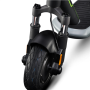 Argento , Active Sport , Electric Scooter , 500 W , 25 km/h , 10 , Black/Green , month(s)