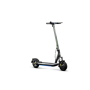 Argento , Active Sport , Electric Scooter , 500 W , 25 km/h , 10 , Black/Green , month(s)