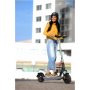 Argento , Active Sport , Electric Scooter , 500 W , 25 km/h , 10 , Black/Green , month(s)
