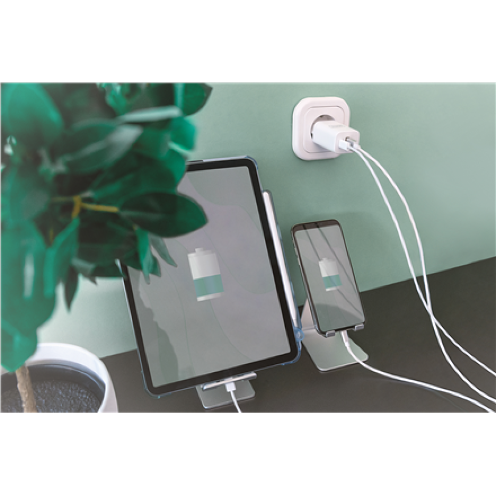 Digitus , USB Charger 1x USB-A/1x USB-C, 30W , DA-10062