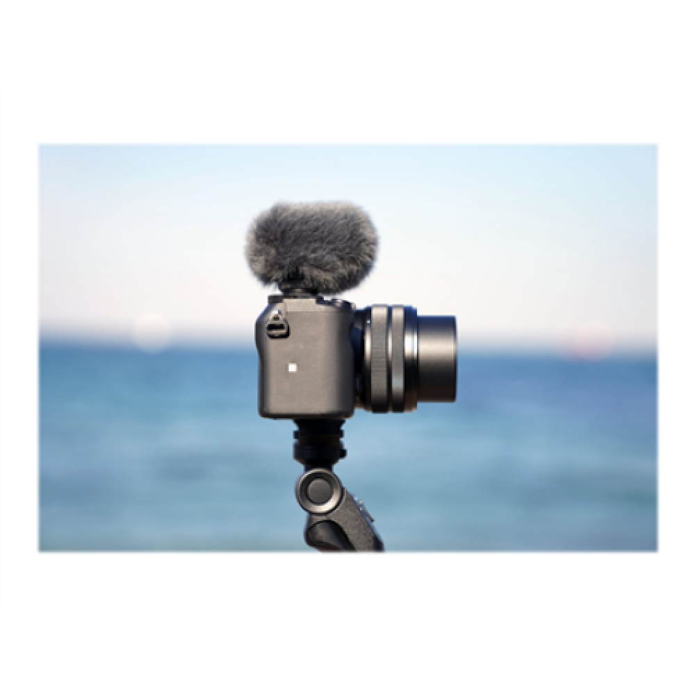 Sony , Shotgun Microphone , ECM-G1 , Frequency response​: 50 Hz - 20000 Hz​; Front sensitivity​: -36dB (0dB=1V/Pa, 1kHz) ; Maximum input sound pressure level​: 125dB​