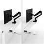 Arozzi Electric Standing Desk , Arena Nordico , White