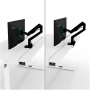 Arozzi Electric Standing Desk , Arena Nordico , White