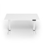 Arozzi Electric Standing Desk , Arena Nordico , White