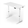 Arozzi Electric Standing Desk , Arena Nordico , White