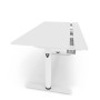 Arozzi Electric Standing Desk , Arena Nordico , White
