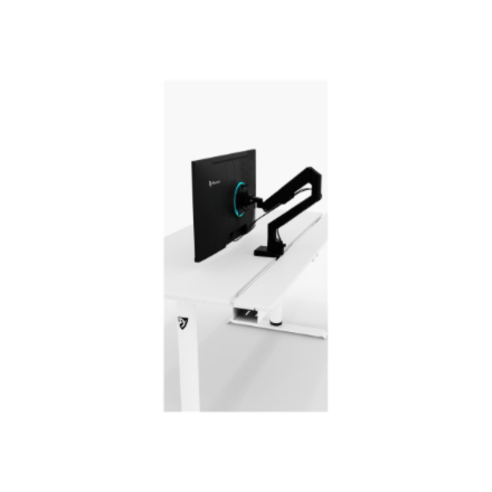 Arozzi Electric Standing Desk , Arena Nordico , White