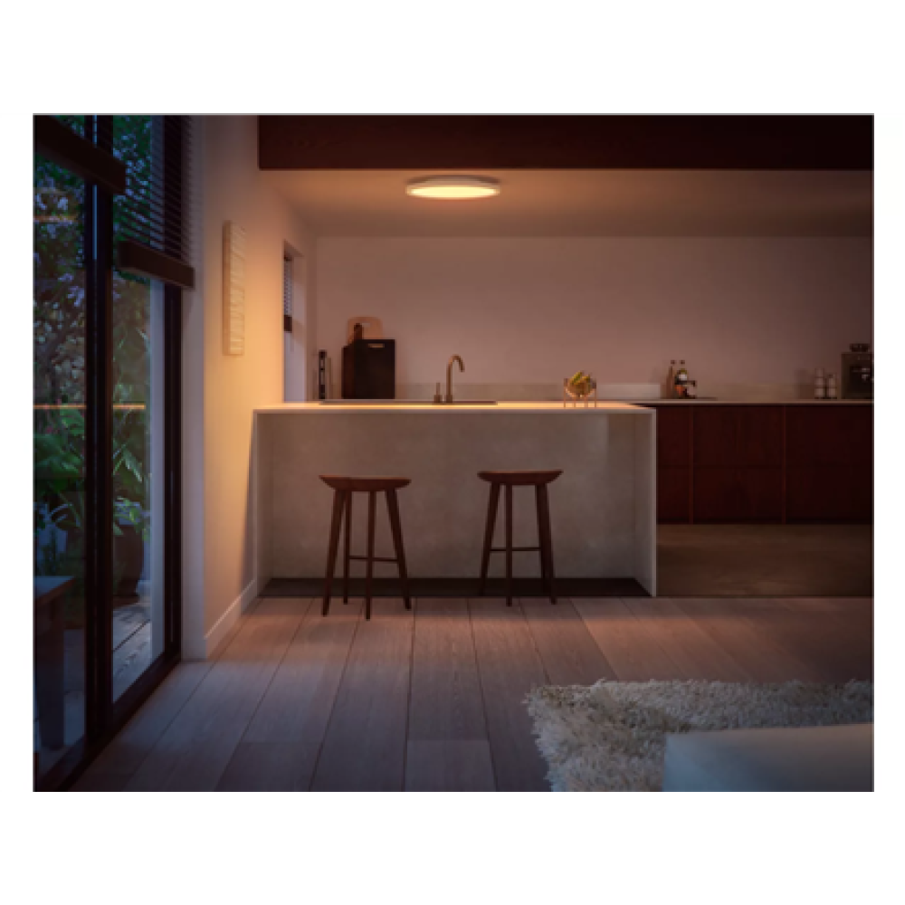 Philips Hue Surimu round panel light, 39.5 cm , Bluetooth, Zigbee