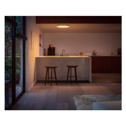 Philips Hue Surimu round panel light, 39.5 cm , Bluetooth, Zigbee