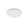 Philips Hue Surimu round panel light, 39.5 cm , Bluetooth, Zigbee