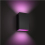 Philips Hue WCA Resonate Outdoor Wall Lantern, Black , 8 W , 2000-6500 Hue White Colour Ambiance