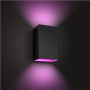 Philips Hue WCA Resonate Outdoor Wall Lantern, Black , 8 W , 2000-6500 Hue White Colour Ambiance