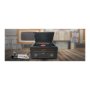 Muse , Turntable micro system , MT-115W , USB port , AUX in , CD player , FM radio , Wireless connection