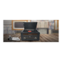 Muse , Turntable micro system , MT-115W , USB port , AUX in , CD player , FM radio , Wireless connection