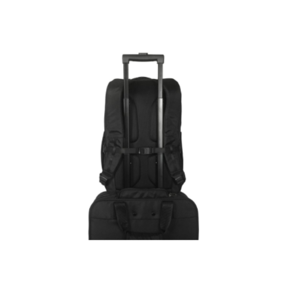 Targus , Work+ EcoSmart , Fits up to size 15-16 , Backpack , Black