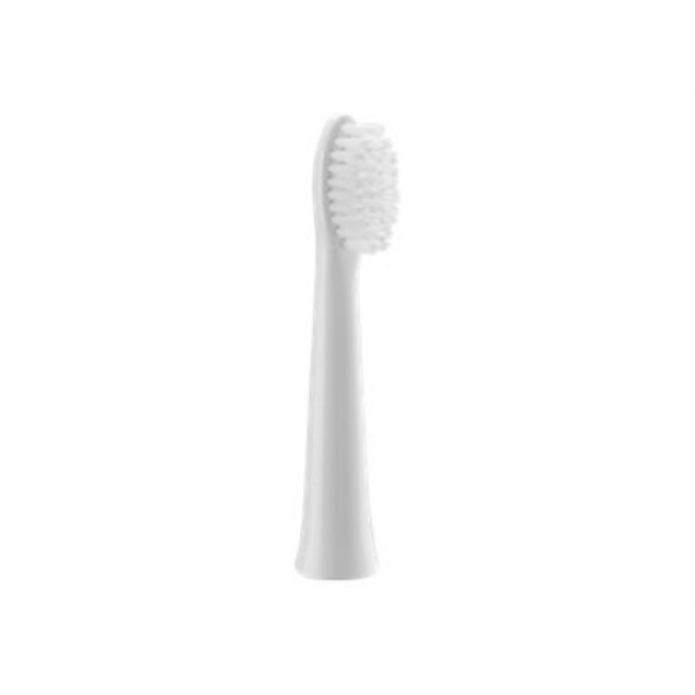 Panasonic , Brush Head , WEW0972W503 , Heads , For adults , Number of brush heads included 2 , Number of teeth brushing modes Does not apply , White