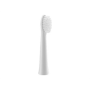 Panasonic , WEW0972W503 , Brush Head , Heads , For adults , Number of brush heads included 2 , Number of teeth brushing modes Does not apply , White