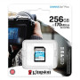 Kingston , Canvas Go! Plus , 256 GB , Flash memory class 10