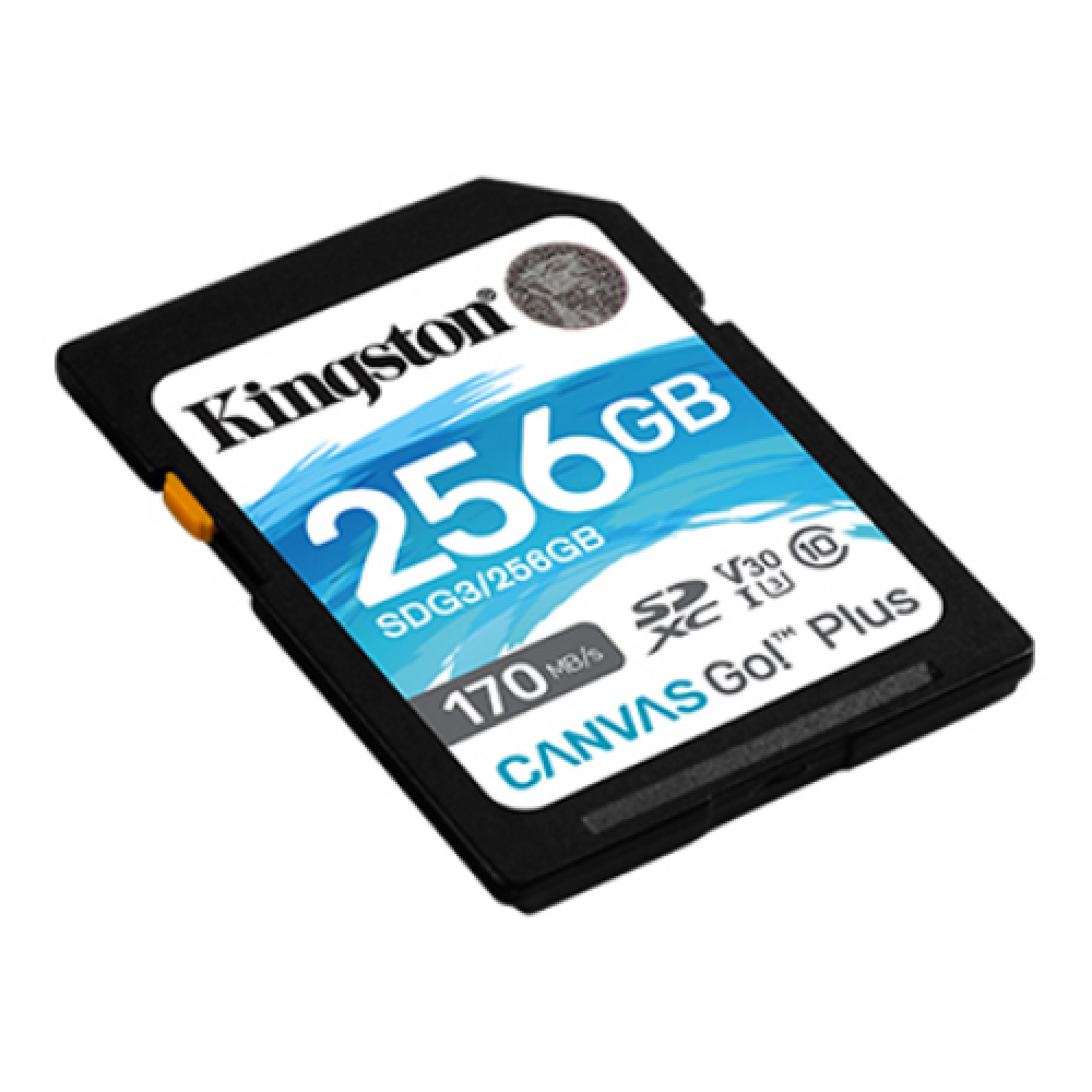 Kingston , Canvas Go! Plus , 256 GB , Flash memory class 10