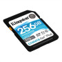 Kingston , Canvas Go! Plus , 256 GB , Flash memory class 10