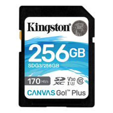 Kingston , Canvas Go! Plus , 256 GB , Flash memory class 10