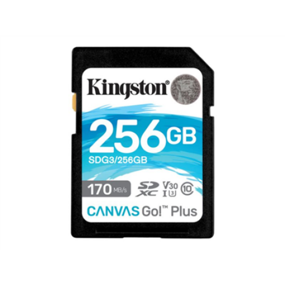 Kingston , Canvas Go! Plus , 256 GB , Flash memory class 10