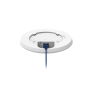 Teltonika Wireless Access Point , TAP100 , 802.11n , 10/100 Mbit/s , Ethernet LAN (RJ-45) ports 1 , MU-MiMO No , PoE in , Antenna type Internal