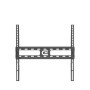 EDBAK Wall mount , FSM4040-F Universal , 32-75 , Maximum weight (capacity) 30 kg , Black