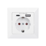 Digitus , Safety Plug for Flush Mounting with 1 x USB Type-C, 1 x USB A