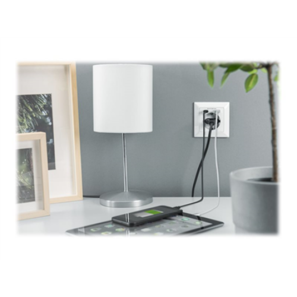 Digitus , Safety Plug for Flush Mounting with 1 x USB Type-C, 1 x USB A