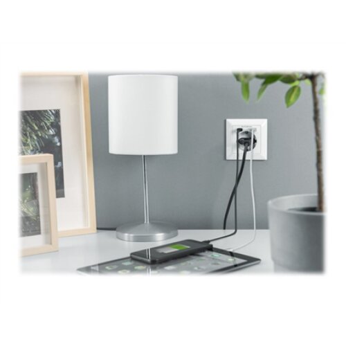 Digitus , Safety Plug for Flush Mounting with 1 x USB Type-C, 1 x USB A
