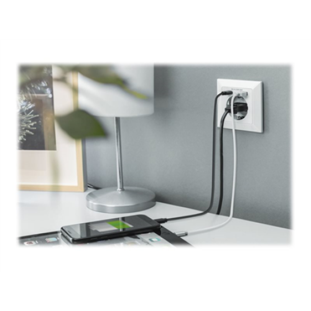 Digitus , Safety Plug for Flush Mounting with 1 x USB Type-C, 1 x USB A