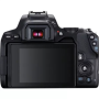 Canon EOS 250D BODY SLR Camera Body, Megapixel 24.1 MP, Image stabilizer, ISO 25600, Display diagonal 3.0 , Wi-Fi, Automatic, manual, Frame rate 29.97 fps, APS-C, CMOS, Black
