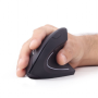 Gembird , MUSW-ERGO-01 , 2.4GHz Wireless Optical Mouse , Optical Mouse , USB , Black
