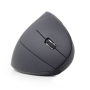 Gembird , MUSW-ERGO-01 , 2.4GHz Wireless Optical Mouse , Optical Mouse , USB , Black