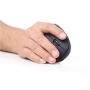 Gembird , MUSW-ERGO-01 , 2.4GHz Wireless Optical Mouse , Optical Mouse , USB , Black