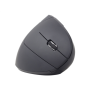 Gembird , MUSW-ERGO-01 , 2.4GHz Wireless Optical Mouse , Optical Mouse , USB , Black