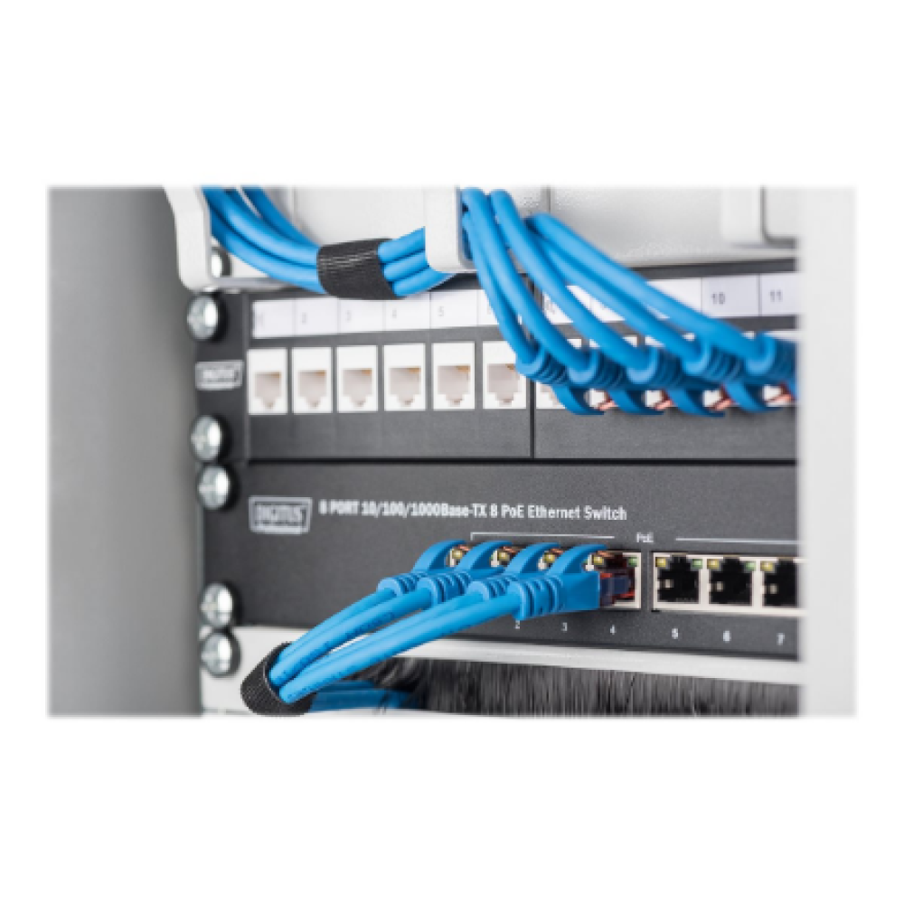 Digitus Wall-mounted housing 254 mm (10) , DN-10-09U , Grey , 31.2 x 30 cm